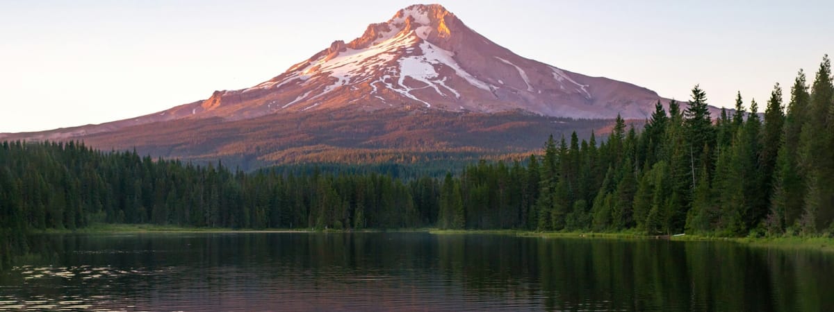 Hi, I'm Brett. Welcome to my website.